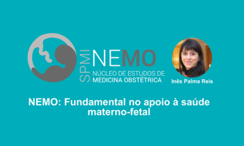 NEMO: Fundamental no apoio à saúde materno-fetal