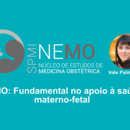 NEMO: Fundamental no apoio à saúde materno-fetal