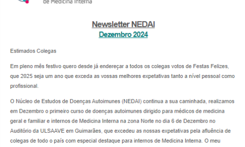 Newsletter NEDAI Dezembro 2024