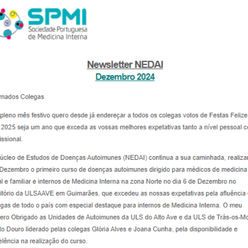 Newsletter NEDAI Dezembro 2024